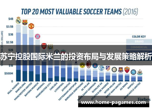 苏宁控股国际米兰的投资布局与发展策略解析 苏宁控股国际米兰的投资布局与发展策略解析