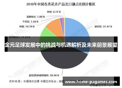 金元足球发展中的挑战与机遇解析及未来前景展望 金元足球发展中的挑战与机遇解析及未来前景展望