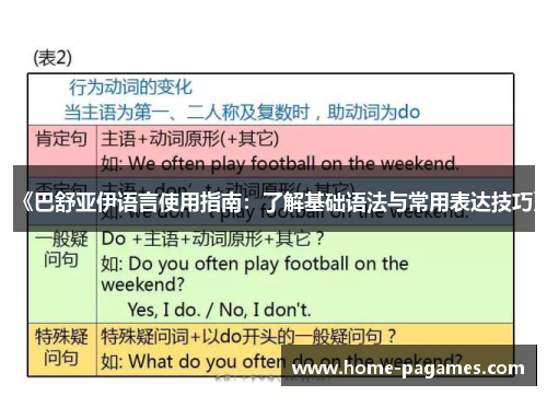 《巴舒亚伊语言使用指南：了解基础语法与常用表达技巧》
