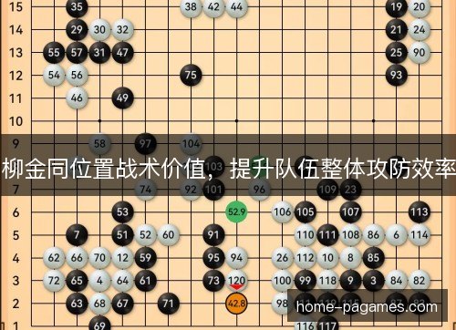柳金同位置战术价值，提升队伍整体攻防效率